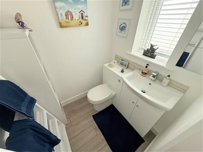 Picture 19